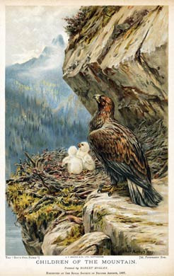 Children Of The Mountain