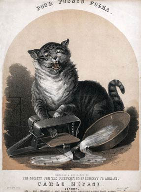 Poor Pussys Polka