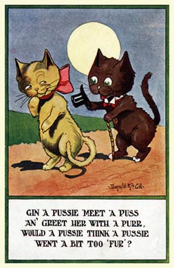 Gin A Pussie