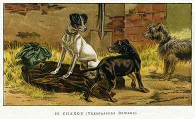 In Charge