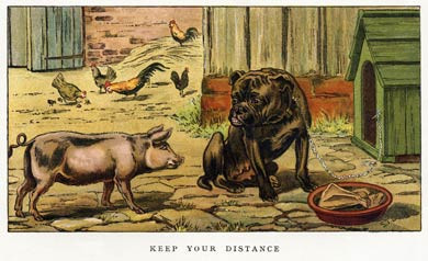 Keep Your Distance