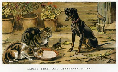 Ladies First