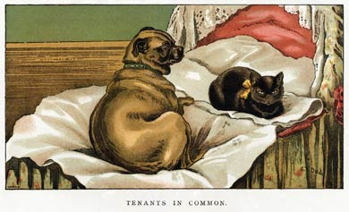 Tenants In Common