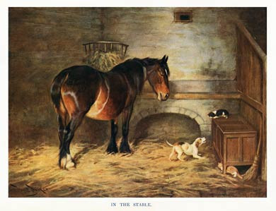 In The Stable