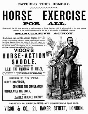 Horse Exercise For All
