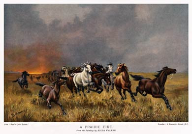 Prairie Fire