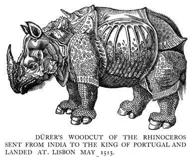 Rhinoceros, Durer, 1515