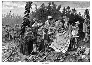 Hop Pickers