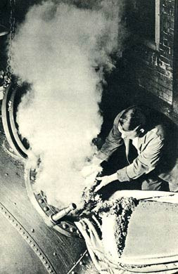 Brewer Putting Hops Into The Copper