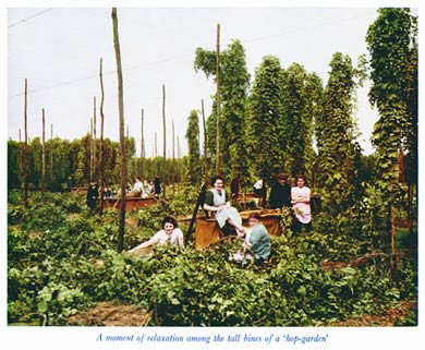 Hop Pickers at Rest