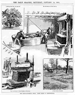 Cider Making in Hereford