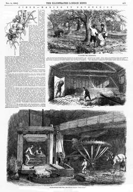 Cider-Making In Devonshire