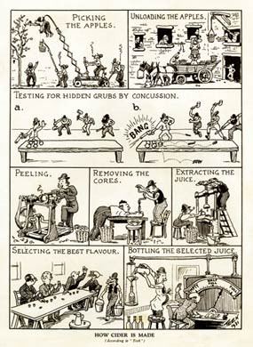 How Cider Is Made