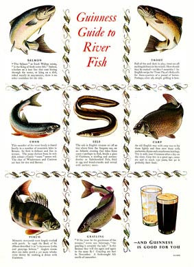 Guinness, River Fish