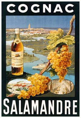 Cognac Salamandre