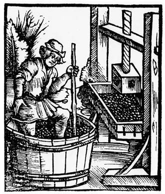 Medieval Wine Making