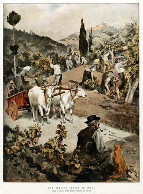 The Vintage In Italy