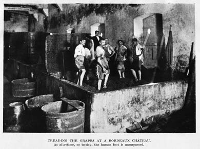 Treading Grapes, Bordeaux