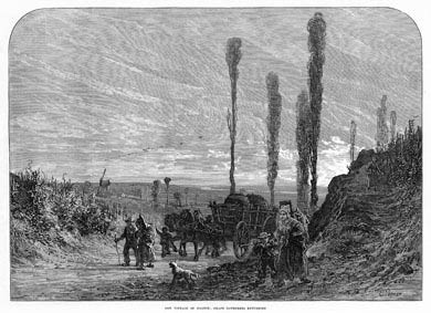 Grape Gatherers Returning