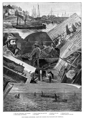 Cornish Pilchard Fishing, 1883