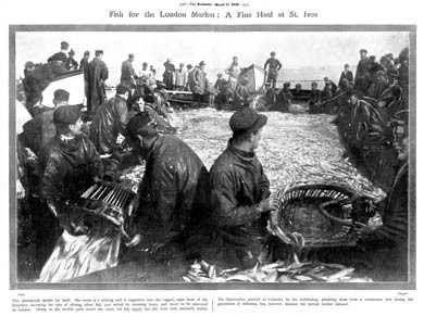 Pilchard Haul, St Ives, 1908