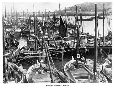 Pilchard Drivers At Newlyn