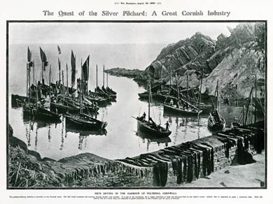 Polperro Pilchard Fleet, 1909