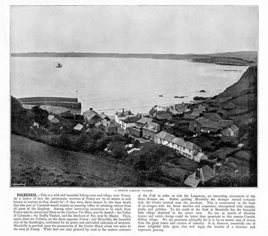 Polkerris