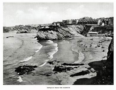 Newquay From The Harbour