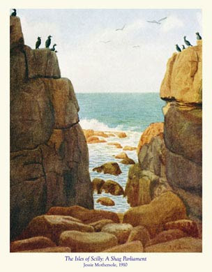 Scilly, A Shag Parliament