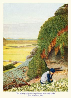 Scilly, Picking Flowers By Castle Rocks