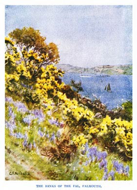 The Banks Of The Fal at Falmouth