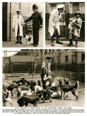 Battersea Dogs Home, 1926