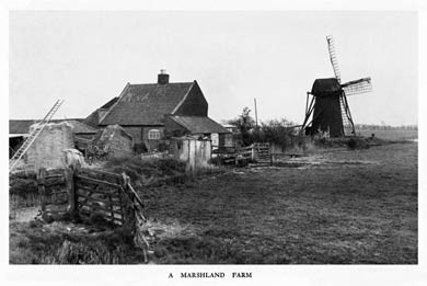 Norfolk Marshland Farm