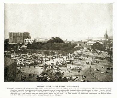 Norwich, Castle & Market