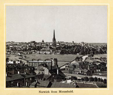 Norwich, from Mousehold