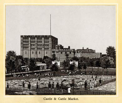 Norwich, Castle & Cattle Market