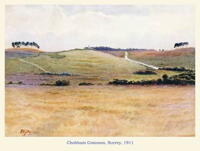 Chobham Common, 1911