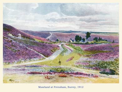 Moorland at Frensham, 1912