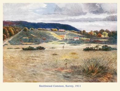 Smithwood Common, Surrey, 1911