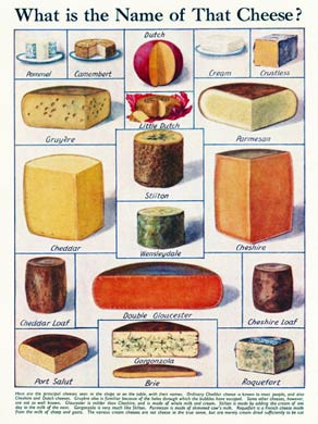 What Is The Name Of That Cheese