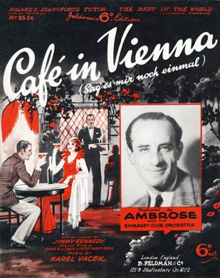 Cafe In Vienna
