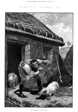 A Private Shave In Galway