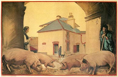 Irish Free State Pigs