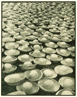 Hats Bleaching