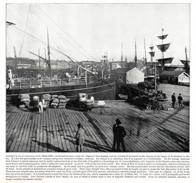 Auckland Harbour