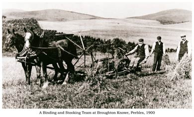 Binding and Stooking, Peebles, 1900