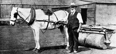 Ancient Groundsman And His Roller