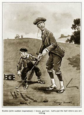 Inspired Caddy