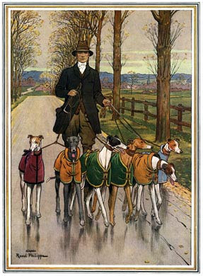 Greyhounds at Exercise